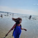 몽산포오페라하우스 이미지