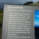 [평창여행] 평창차박 &#39;육백마지기&#39; 차박정보와 야생화단지, 별 감상하기 좋은 곳