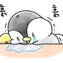 아라종합동물병원 이미지