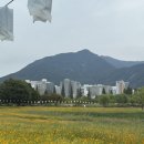코스모스나이트 - 보은군 법주사로 258-13 | 코스모스나이트