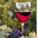 감각적인 몽환과 위험한 매혹을 담은 명곡...Summer Wine 이미지