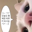 멍굴멍굴 이미지