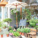 벤자민&데이지 이미지