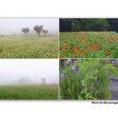 하늬농장 이미지