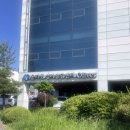대전심리상담센터 올리벳심리상담센터 후기