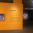 화려한휴식 이미지