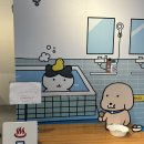 홍대 남씨 수북즈 누렁이 팝업스토어 방문 후기 (굿즈 재입고/카카오 온라인샵)