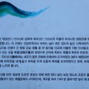 노송쉼터 이미지