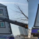 케이엘빌딩 이미지