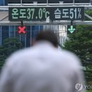 경포파인 이미지