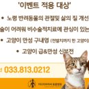 횡성동물병원 이미지