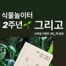 책+식물놀이터 이미지