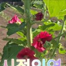 시절인연 - 경주시 윗동천길 10-20 | 시절인연