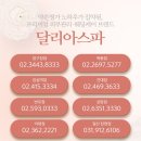 탱글탱글 피부샵