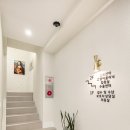 서초M동물의료센터 이미지