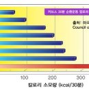 녹번복싱 이미지