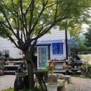 그린매점 이미지