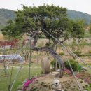 희망찬농장 이미지