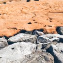 표선해변 인증센터 | 표선해변인증센터