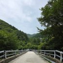 담터갈비 - 구리시 | [포천 계곡 캠핑장] 다이빙도 가능한 철원 담터계곡 '물소리 캠핑장' - 계곡 캠핑 절망편, 호불호 솔직후기