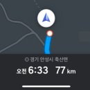 일심양봉