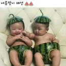 따담 이미지