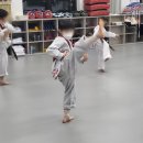 마스터 문 태권도장 이미지