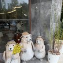 안양우편집중국(우체국) | 범계역 버터비버 카페 수제케이크 맛집 내돈내산 미니후기