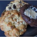 수다라떼 상담 이미지