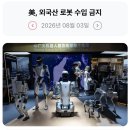 300_260803_foreign-made humanoid robots 이미지