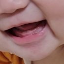 복덩이 한우2 이미지