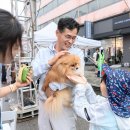 양천종합동물병원 이미지