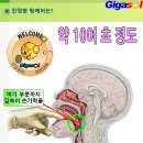 안구 건조증 증상 해결책~텅케어와 면봉 코뚫기 이미지