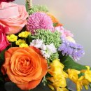 나도 플로리스트 이미지