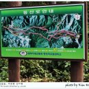 하늘풍차 이미지