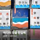 나연환경 | [D-Magazine] Vol.82 바다의 맛을 한입에 | 김마루루 나연이 이사
