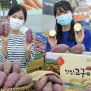 영암농협하나로마트 이미지