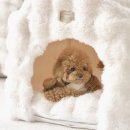 몽글몽글 펫 이미지