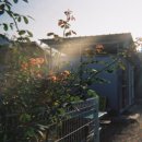 리틀프로방스 이미지