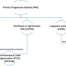 창성중기 | 비유창성 변이 일차진행언어상실증 (Nonfluent variant primary progressive aphasia, nfvPPA)