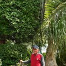 부산수목전시원 이미지