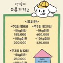 댕겨올개 이미지