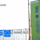 근영식당 이미지