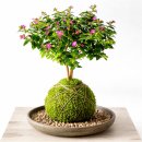 윤희공방 이미지