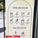 새 조형물 및 분수 | 수원 단풍 명소 카페 뷰예술 억새 뮬리 영흥수목원