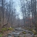 코스오토 이미지