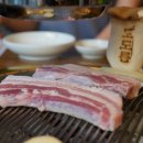 도도름 이미지