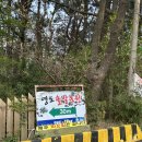 솔밭농원 | 부산 영도 맛집 애견동반 가능한 영도 솔밭농원에서 오리불고기 내돈내먹 후기