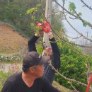 산골산내음 이미지