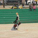 동산애견 이미지